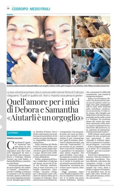 SAMY e DEBBY e i gatti di nessuno 16 marzo 26