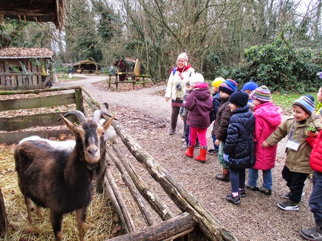 PRESEPI di CORGNOLO (UD) – gennaio 2015