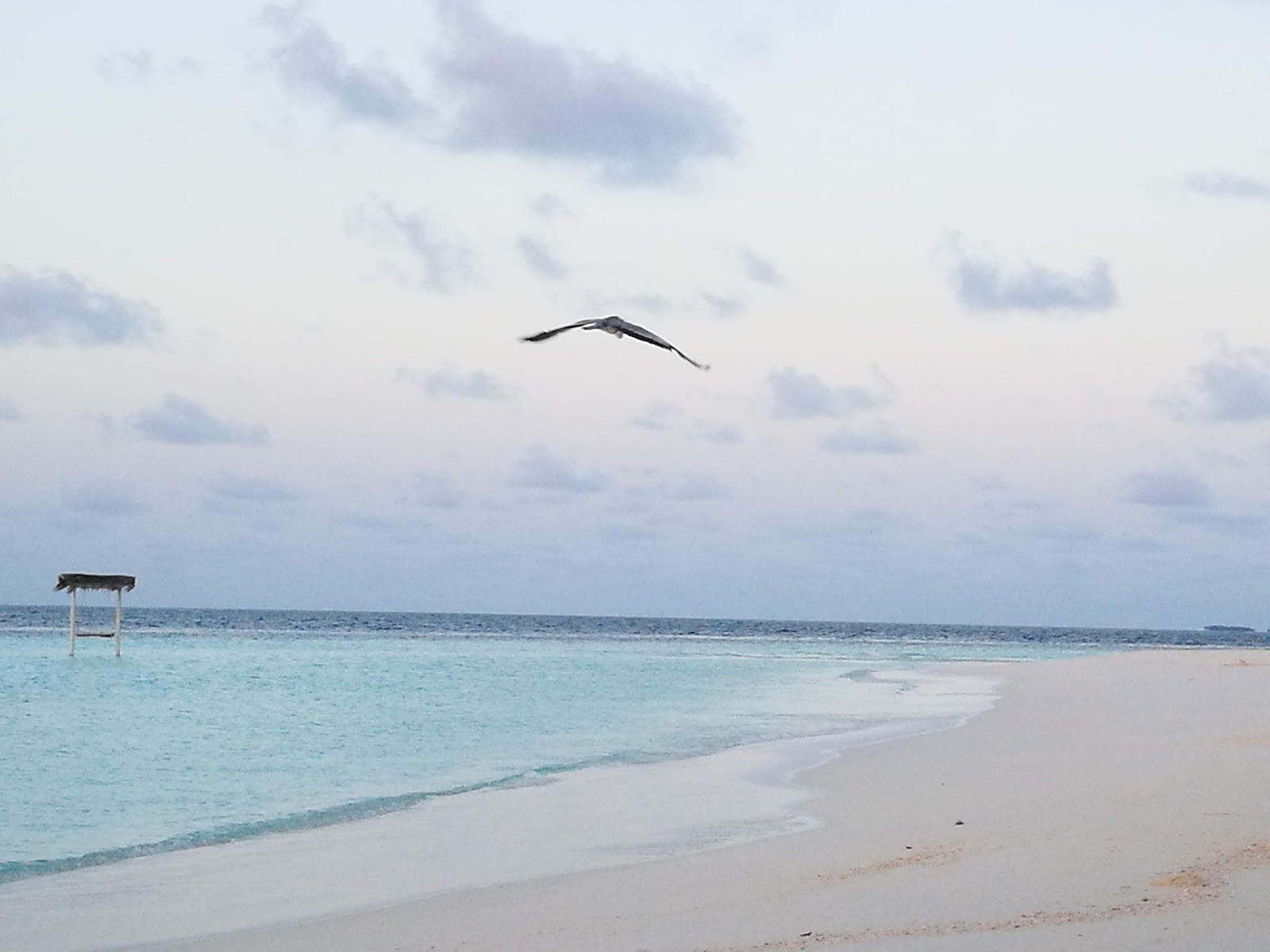 MALDIVE – MAAYAFUSHI …dove il PARADISO E’ DI CASA 24 giugno-3 luglio 2018