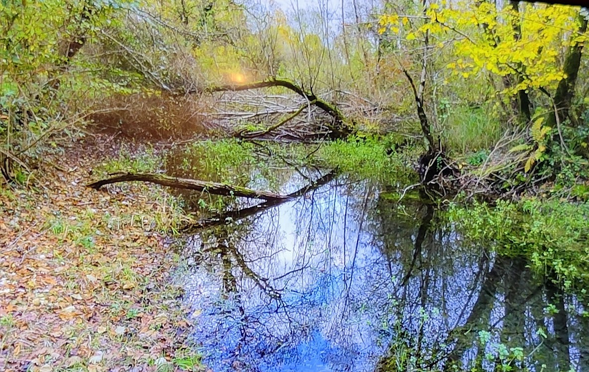 PARCO DELLE RISORGIVE: gioiello unico del Medio Friuli