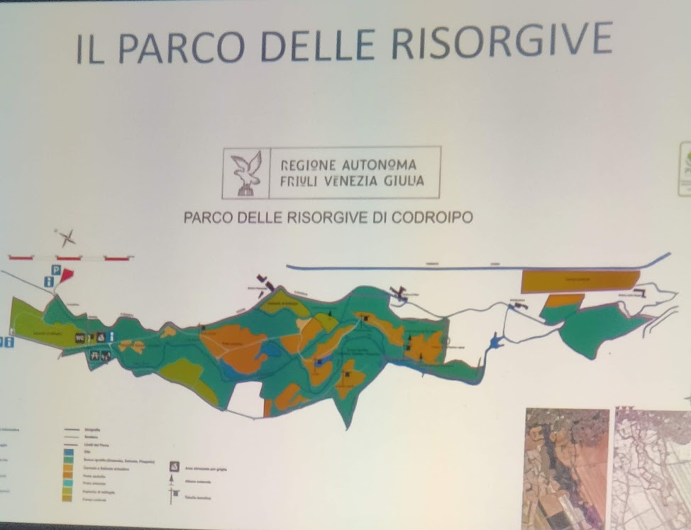 Risorgive a Codroipo (Ud): tesoro da riscoprire 3 luglio 25